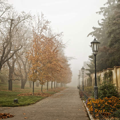 Obrázek /media/2evntmyh/vysehrad1_12_full.jpg