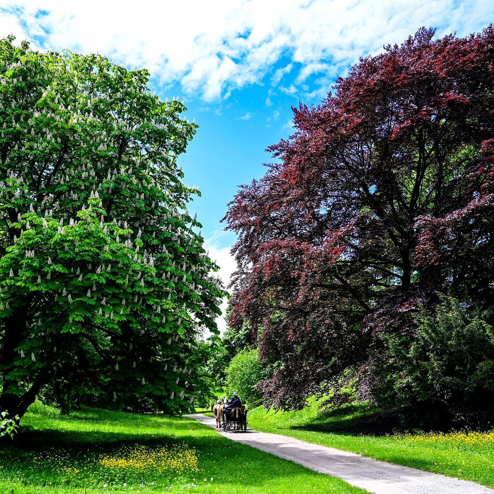 Obrázek park-cechy_pod_kosirem2_mala.jpg