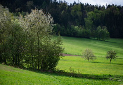 Image /media/5xtps35k/žárová-olomouc-cfcom-1.jpg