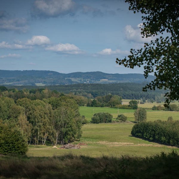 Image /media/dmmdfj1z/český-les-obora-srdíčko-4.jpg