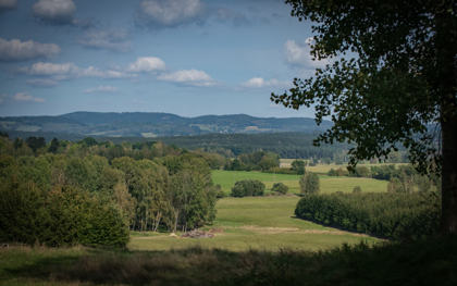 Obrázek /media/dmmdfj1z/český-les-obora-srdíčko-4.jpg