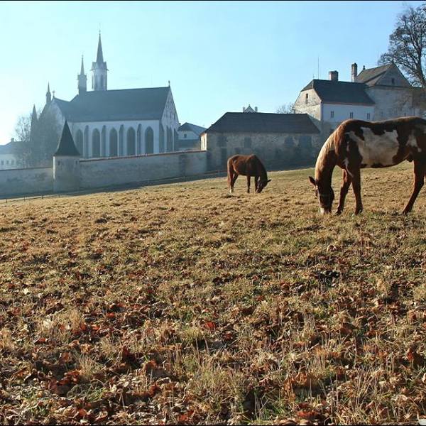 Obrázek /media/etkh00oz/countryside16.jpg