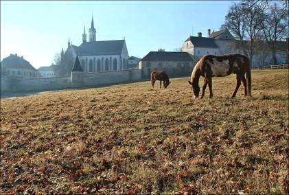 Obrázek /media/etkh00oz/countryside16.jpg