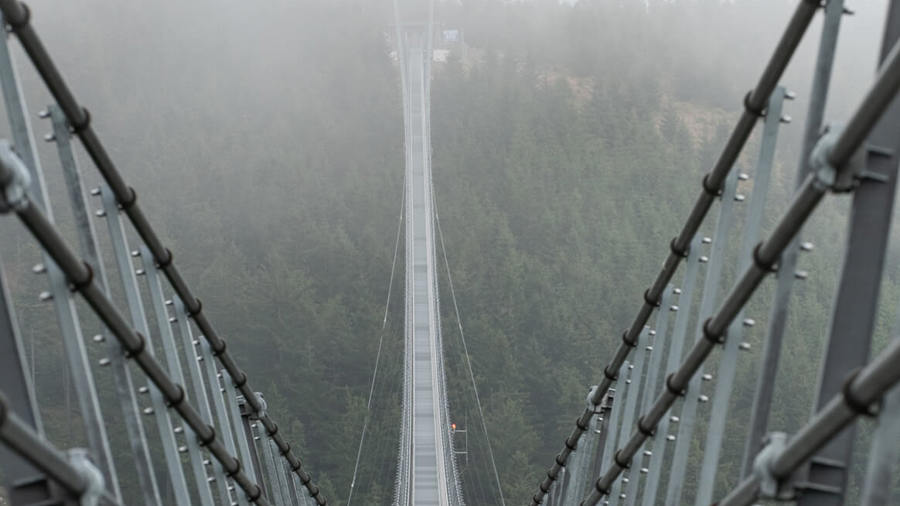 Ilustrační obrázek článku 'Dolní Morava Sky Bridge and Treetop Walkway'