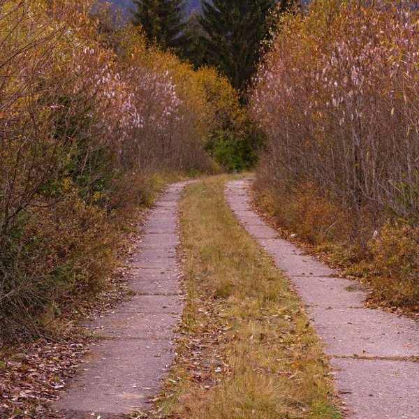 Obrázek /media/lajlwdia/countryside23.jpg