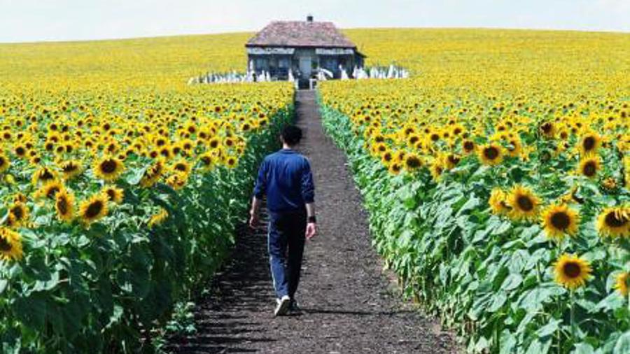 Ilustrační obrázek filmu 'Everything Is Illuminated'