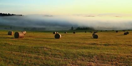 Obrázek /media/ps2dovkm/countryside_jaro_jensovsky5.jpg