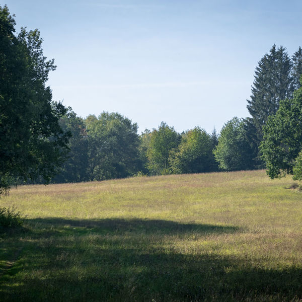 Obrázek /media/zrofh3kp/_dsc8143.jpg