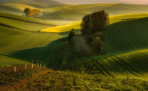 Moravian Tuscany | Photo by Pawel Uchorczak